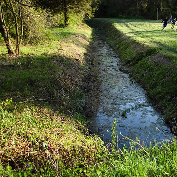 Retention Pond and Drainage Ditch Installation Services Waukesha/Milwaukee WI Terry's Excavating and Grading Services Waukesha/Milwaukee